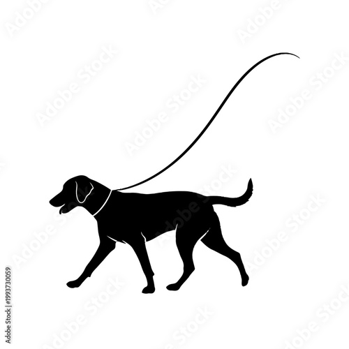 Silhouette of a walking dog on a leash Isolated on transparent background