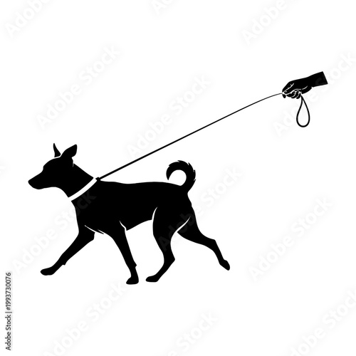 Silhouette of a person walking a dog on a leash Isolated on transparent background