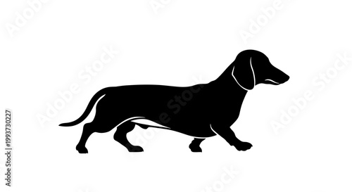 Minimalist silhouette of a standing dachshund dog Isolated on transparent background