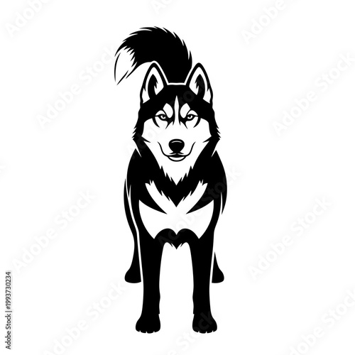 Minimalist black and white vector illustration of a Siberian Husky standing tall Isolated on transparent background