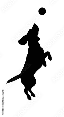 Black silhouette of a playful dog jumping to catch a ball Isolated on transparent background