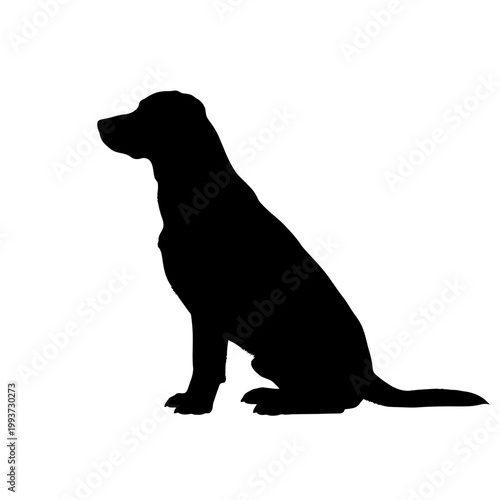 Black silhouette of a sitting dog background Isolated on transparent background