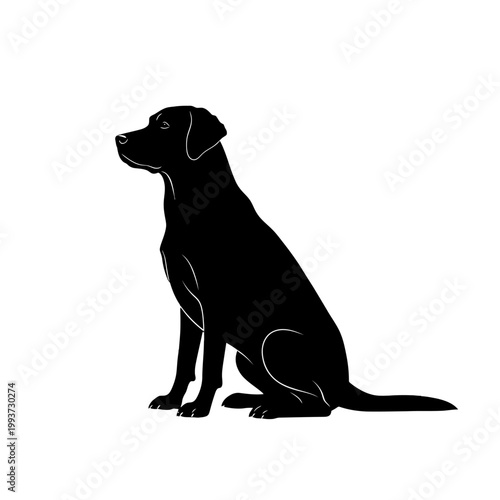 Silhouette of a seated Labrador Retriever dog Isolated on transparent background