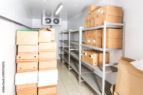 Cold storage logistics, Fre...