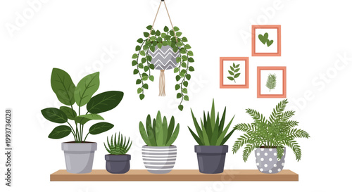 Tableau sur toile Indoor plants, potted plants, houseplants, green decor, home plants, vector illu