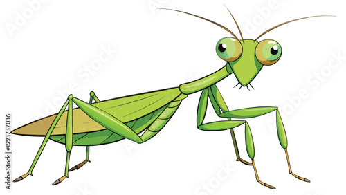 Cute green praying mantis cartoon character with large eyes isolated on a white background for children illustration