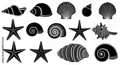 Black and white seashells, starfish, and ocean icons set, 13 piece collection, vector graphics