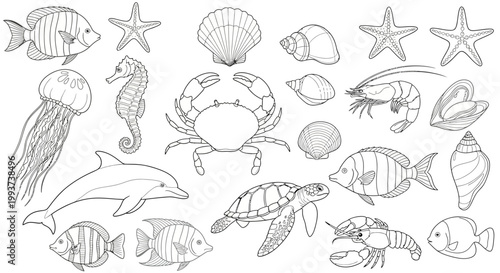 Seafood icons, ocean creatures, marine life, 25 black and white vector illustrations