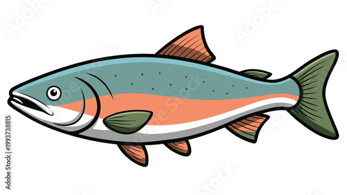 Colorful rainbow trout fish illustration isolated on white background for fishing and wildlife design projects