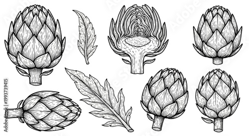 Artichoke icons, black and white illustrations, vegetable set, 8 artichoke drawings, line art
