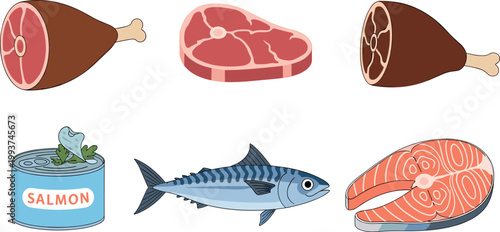 Meat and fish food collection with steak, ham, tuna and salmon cuts, protein rich ingredients vector illustration for cooking and nutrition