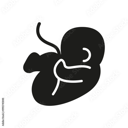 Fetus in womb icon. Simple black pregnancy fetus icon for medical, prenatal and maternity design. Vector illustration.