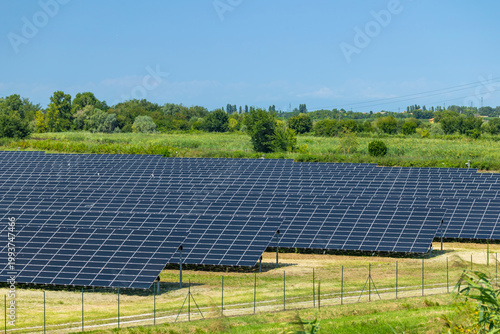 Solar panels generating renewable energy in Loreo, Italy