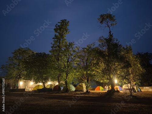 night in the park