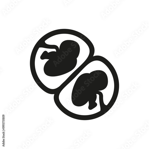 Fetus development stages icon. Simple black prenatal growth icon showing embryo and fetus stages for medical and pregnancy design. Vector illustration.