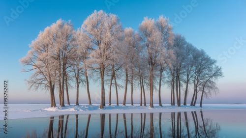 A serene winter landscape featuring a row of frost covered trees reflecting perfectly in the calm icy water under a clear morning sky