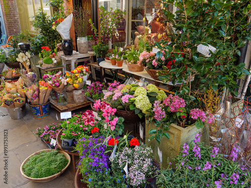 Florist display of flowers on Flask Walk in Hampstead, London, UK