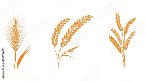 Three stylized, golden-toned illustrations of wheat plants on a white background. Each features a unique arrangement