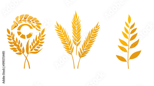 Three graphic compositions featuring wheat, barley, or related cereal grains in yellow and gold shades