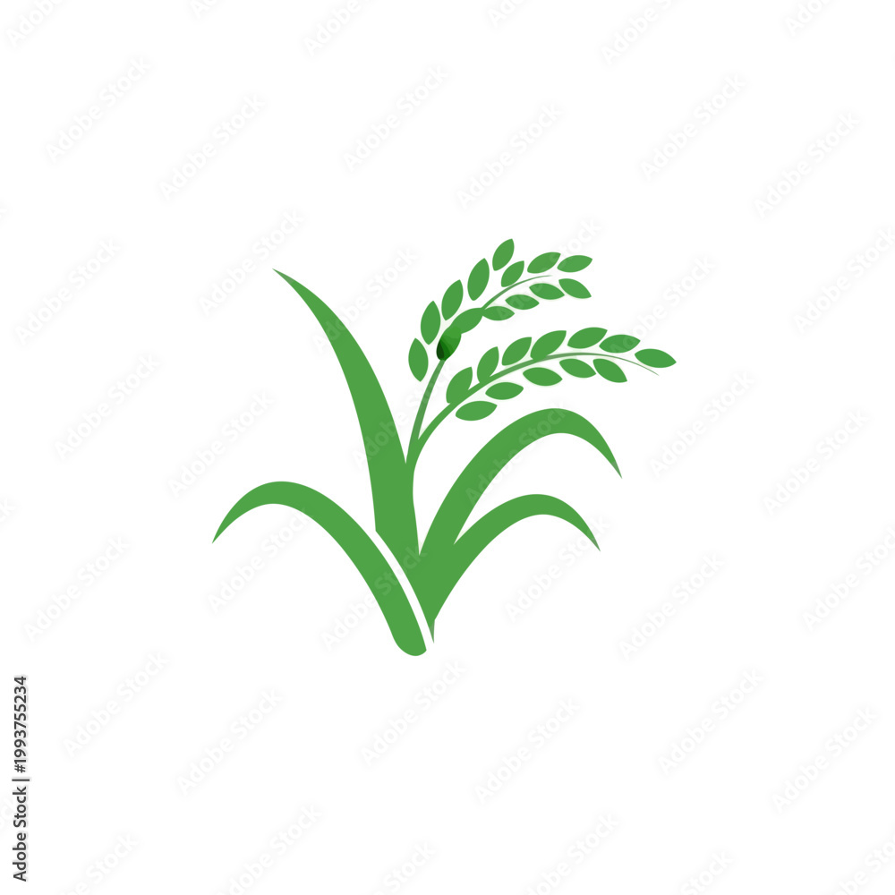 Naklejka premium Green rice plant logo, agriculture symbol, healthy food icon, organic farming concept