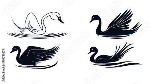 Four stylized illustrations of swans in various poses, swimming or gliding on water