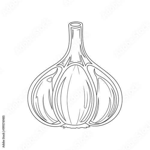 A detailed line art illustration of a whole garlic bulb, showing individual cloves and the stem, on a white background.