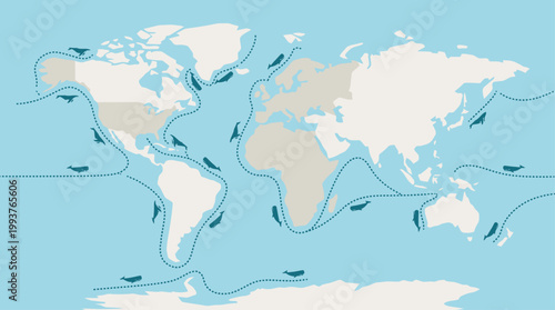 An informative Flat Design illustration of global whale migration routes across the world's oceans. 