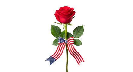 Red rose with patriotic American ribbon bow isolated on transparent background