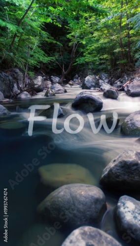 Serene Forest Stream with Smooth Water Flow