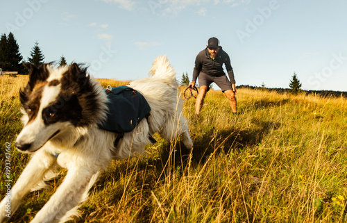happy white dog playing with owner outdoors