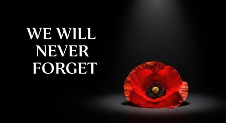 Honoring fallen heroes on memorial day with patriotism and gratitude