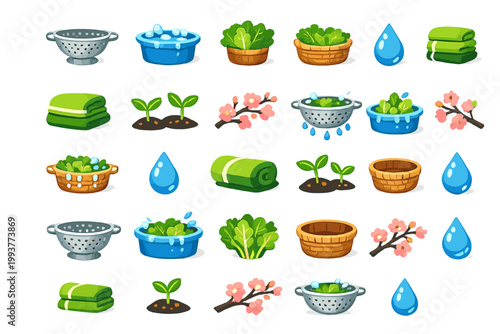 Different types of plants and water-related activities displayed in a playful and colorful format