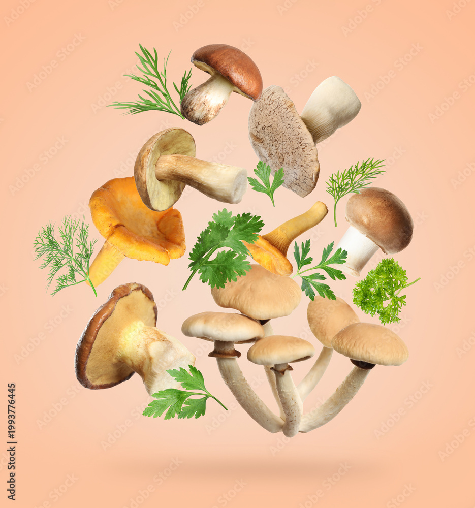 Fototapeta premium Fresh mushrooms and herbs falling against beige pink background