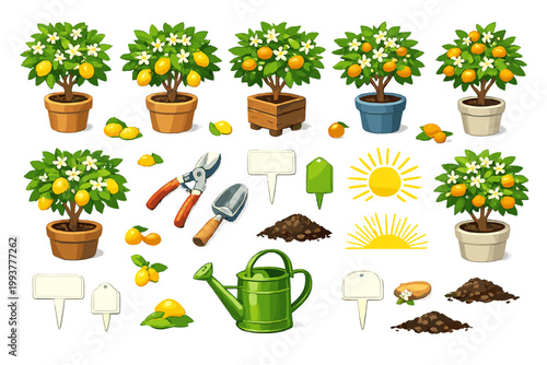 Fresh fruit gardening ideas with lemon and orange trees in pots and tools for plant care in a sunny setting