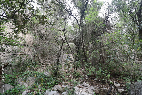 Ancien oppidum, aussi appelé oppidum de mus, site archéologique, village de Sauve, département du Gard, France