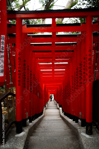 Red tori and inari gates at a shrine in Tokyo, Japan.