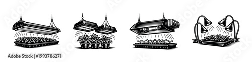 Indoor garden lighting black and white vector illustration with various grow light setups and potted plants
