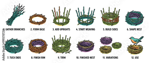 Step-by-step illustrated guide for making a bird's nest, a colorful hand-drawn infographic showing twelve stages of weaving twigs from gathering materials to final use