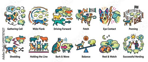 Sheepdog herding infographic chart with twelve icons demonstrating various commands and actions for managing a flock of sheep, presented in a vibrant, hand-drawn cartoon style