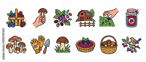 Collection of colorful hand-drawn icons depicting foraging and harvesting, with mushrooms, berries, a basket, jam, and a rustic barn in a charming cartoon doodle style