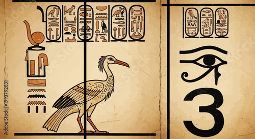 Ancient Egyptian Hieroglyphs and Ibis Bird Illustration on Papyrus
