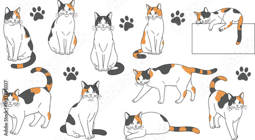 Cute Calico Cat Collection with Paw Prints in Various Poses Doodle Style Vector Illustration Set