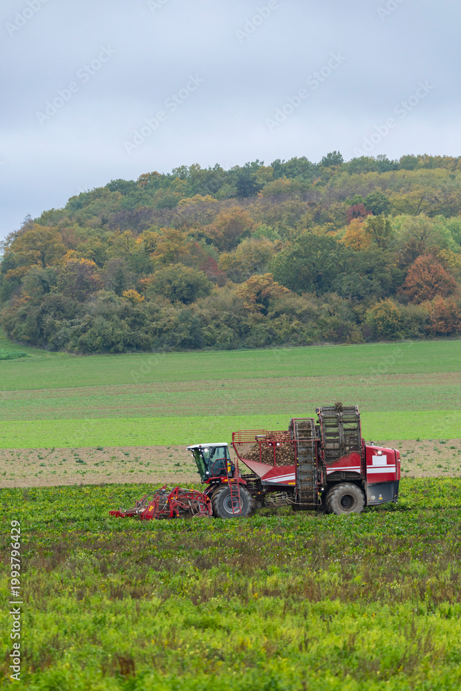 Obraz premium Sugar beet harvester working field in Vert Toulon, France
