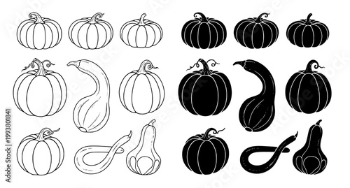 Collection of various pumpkin and gourd shapes presented as line art and solid black silhouettes for autumn harvest and thanksgiving themed design projects and menus
