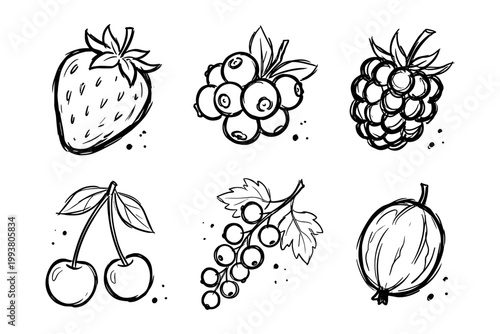 Berry fruit sketch set with strawberry, blueberry, raspberry, cherry, currant, and gooseberry, vector illustration.