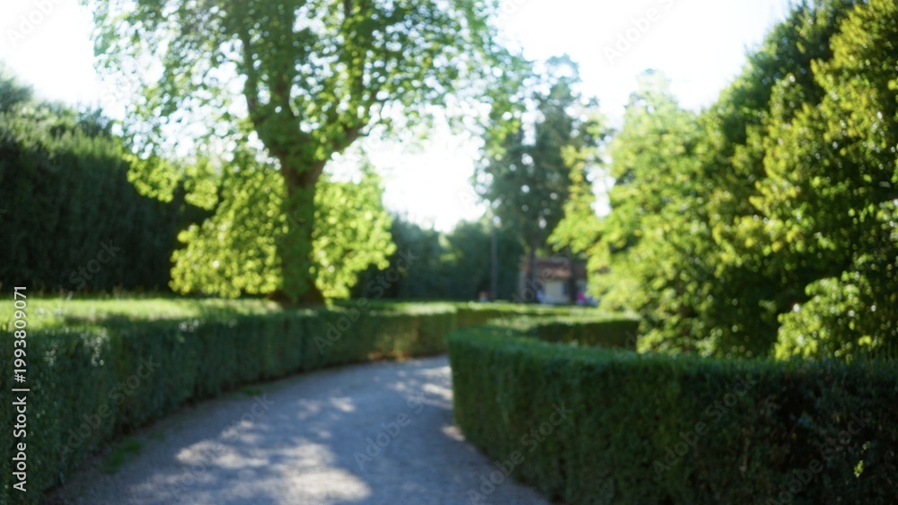 Fototapeta premium Garden path with soft blurred hedges and sunlit trees in shallow bokeh focus, outdoor; background copyspace calm.