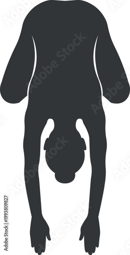 Silhouette of the yoga stretching pose