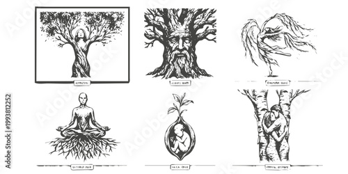 Human Tree Surrealist Merged Figure Collection-Crosshatch Torso Trunk Bark Face Oak Roots Meditation Willow Birch Lovers Sapling-Fine Art