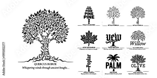 Typographic Lettering Tree Collection-Cursive Script Calligraphic Copperplate Blackletter Gothic Sans-Serif Typewriter Letterform-Fine Art