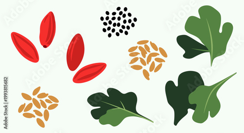 Flat Vector Illustration Set of Healthy Superfood Particles with Goji Berries Sunflower Seeds Pumpkin Seeds and Green Spinach Leaves Isolated on White Background